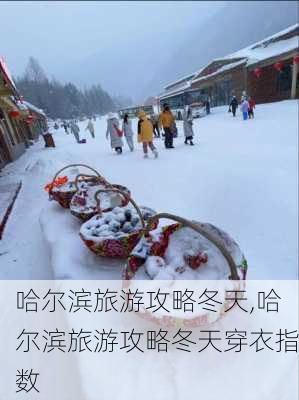 哈尔滨旅游攻略冬天,哈尔滨旅游攻略冬天穿衣指数