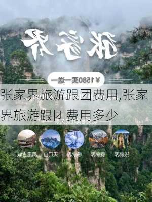 张家界旅游跟团费用,张家界旅游跟团费用多少