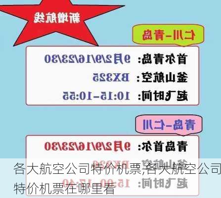 各大航空公司特价机票,各大航空公司特价机票在哪里看