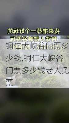 铜仁大峡谷门票多少钱,铜仁大峡谷门票多少钱老人免票