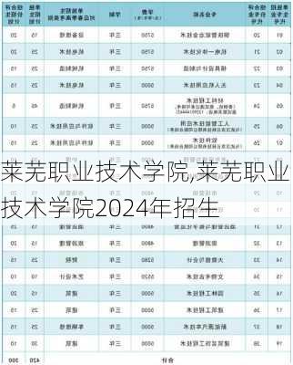 莱芜职业技术学院,莱芜职业技术学院2024年招生