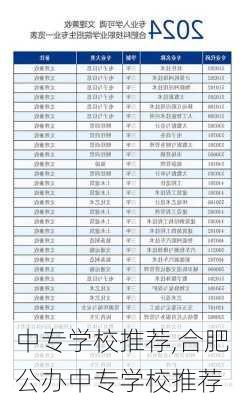 中专学校推荐,合肥公办中专学校推荐