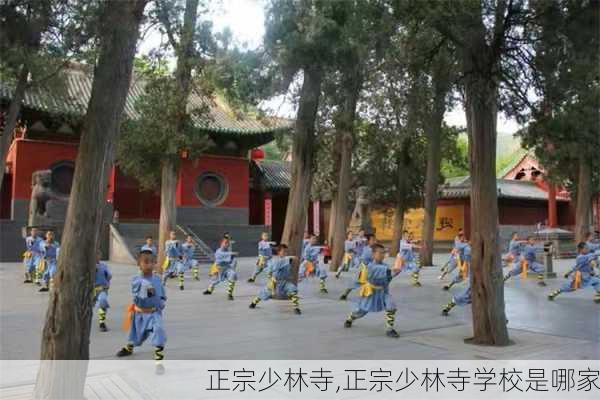 正宗少林寺,正宗少林寺学校是哪家