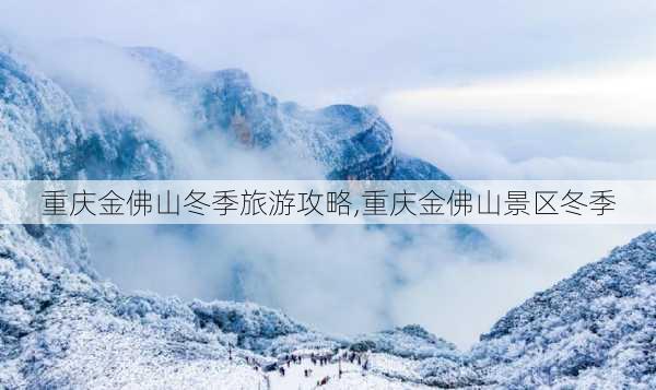 重庆金佛山冬季旅游攻略,重庆金佛山景区冬季