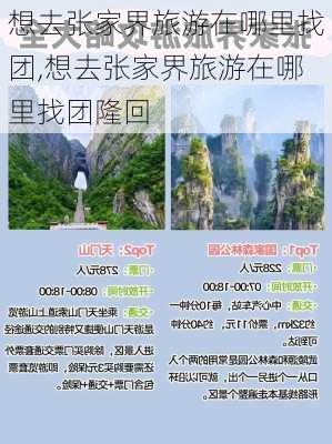 想去张家界旅游在哪里找团,想去张家界旅游在哪里找团隆回