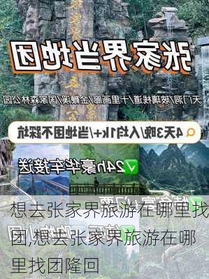 想去张家界旅游在哪里找团,想去张家界旅游在哪里找团隆回