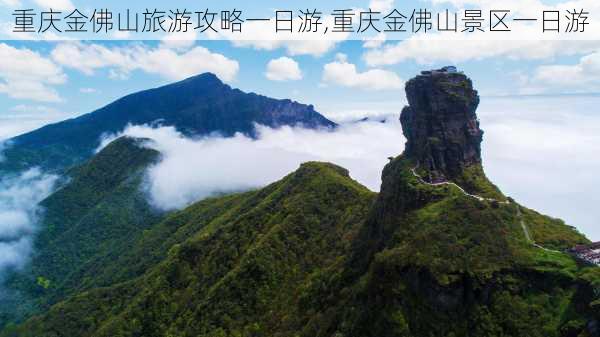 重庆金佛山旅游攻略一日游,重庆金佛山景区一日游