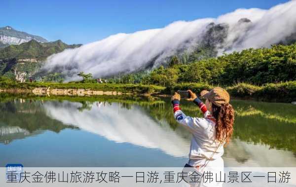 重庆金佛山旅游攻略一日游,重庆金佛山景区一日游