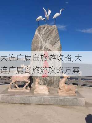 大连广鹿岛旅游攻略,大连广鹿岛旅游攻略方案