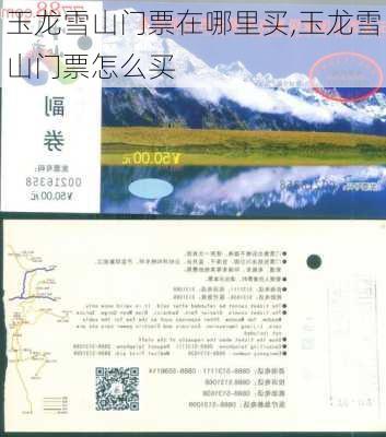 玉龙雪山门票在哪里买,玉龙雪山门票怎么买