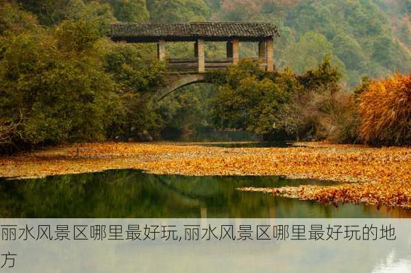 丽水风景区哪里最好玩,丽水风景区哪里最好玩的地方