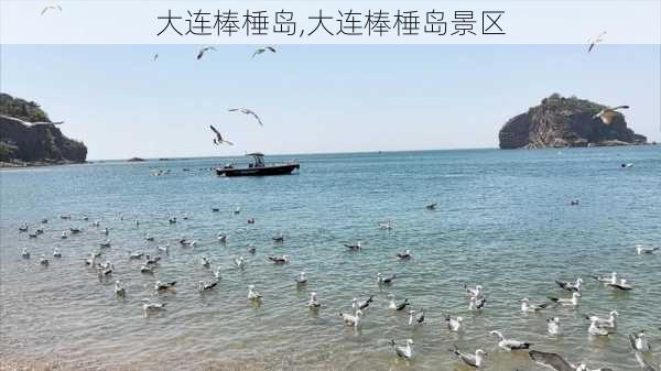 大连棒棰岛,大连棒棰岛景区