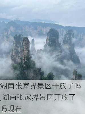 湖南张家界景区开放了吗,湖南张家界景区开放了吗现在