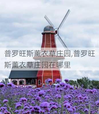 普罗旺斯薰衣草庄园,普罗旺斯薰衣草庄园在哪里