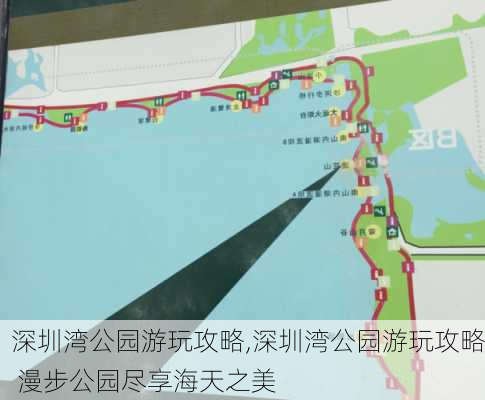 深圳湾公园游玩攻略,深圳湾公园游玩攻略 漫步公园尽享海天之美