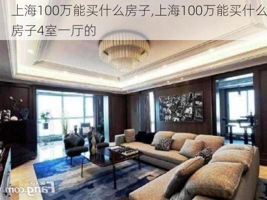 上海100万能买什么房子,上海100万能买什么房子4室一厅的