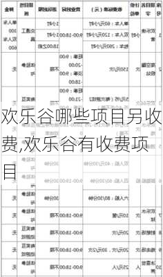 欢乐谷哪些项目另收费,欢乐谷有收费项目