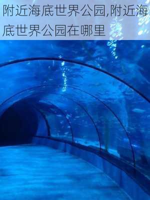 附近海底世界公园,附近海底世界公园在哪里