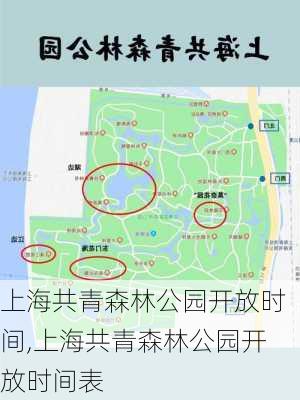 上海共青森林公园开放时间,上海共青森林公园开放时间表