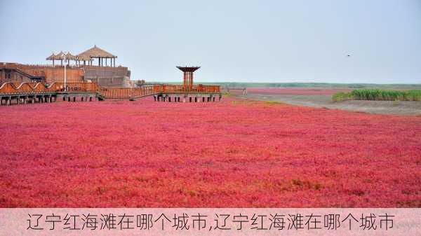 辽宁红海滩在哪个城市,辽宁红海滩在哪个城市