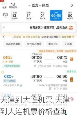 天津到大连机票,天津到大连机票价格查询