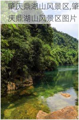 肇庆鼎湖山风景区,肇庆鼎湖山风景区图片