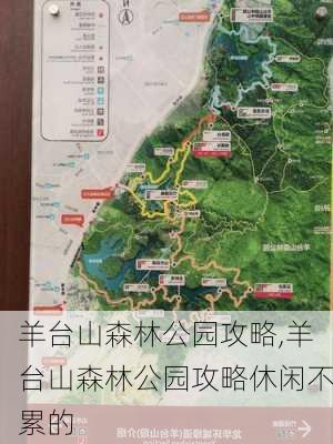 羊台山森林公园攻略,羊台山森林公园攻略休闲不累的