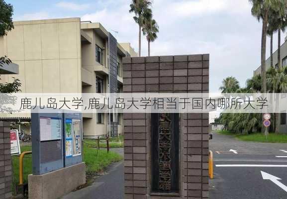 鹿儿岛大学,鹿儿岛大学相当于国内哪所大学