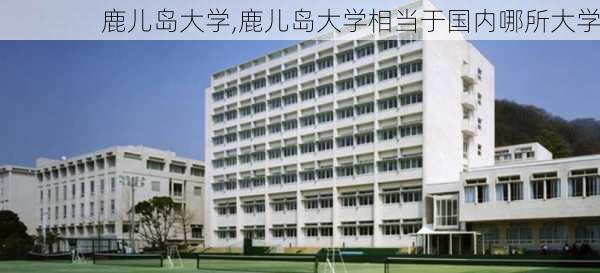 鹿儿岛大学,鹿儿岛大学相当于国内哪所大学