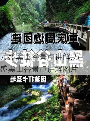 万盛黑山谷景点讲解,万盛黑山谷景点讲解图片