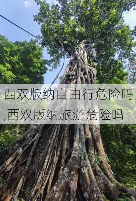 西双版纳自由行危险吗,西双版纳旅游危险吗