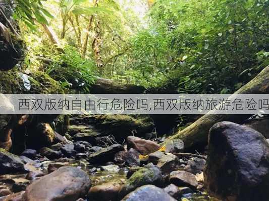 西双版纳自由行危险吗,西双版纳旅游危险吗