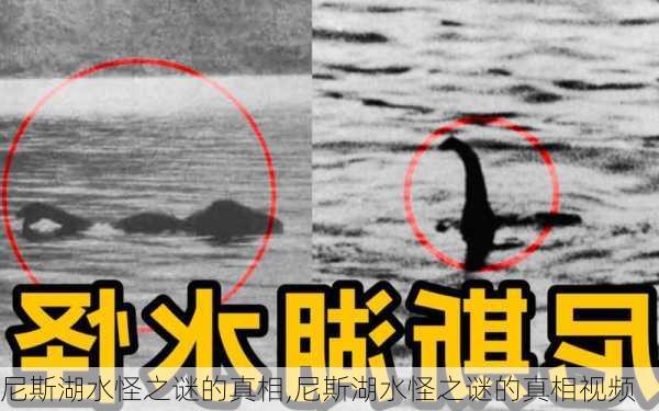 尼斯湖水怪之谜的真相,尼斯湖水怪之谜的真相视频