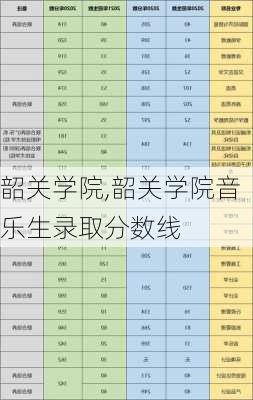 韶关学院,韶关学院音乐生录取分数线