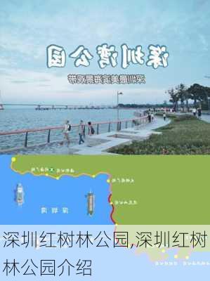 深圳红树林公园,深圳红树林公园介绍