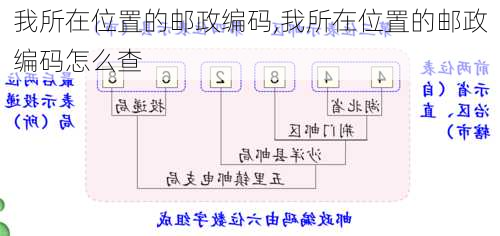 我所在位置的邮政编码,我所在位置的邮政编码怎么查