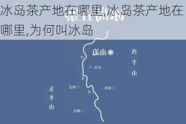 冰岛茶产地在哪里,冰岛茶产地在哪里,为何叫冰岛