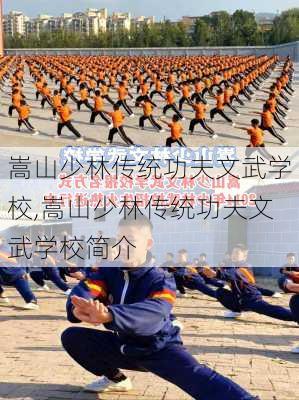 嵩山少林传统功夫文武学校,嵩山少林传统功夫文武学校简介