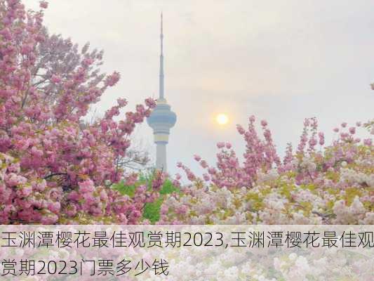 玉渊潭樱花最佳观赏期2023,玉渊潭樱花最佳观赏期2023门票多少钱