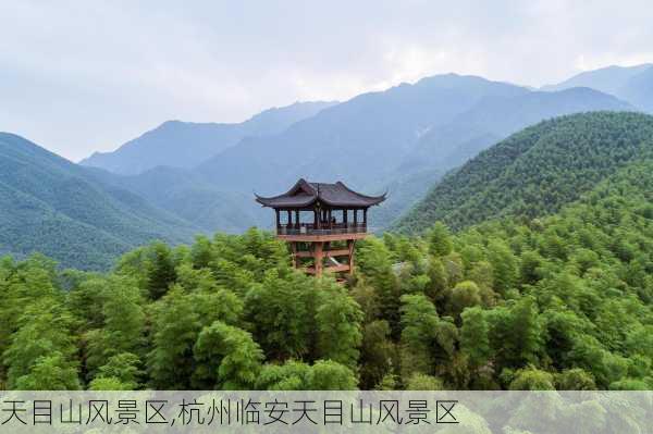 天目山风景区,杭州临安天目山风景区