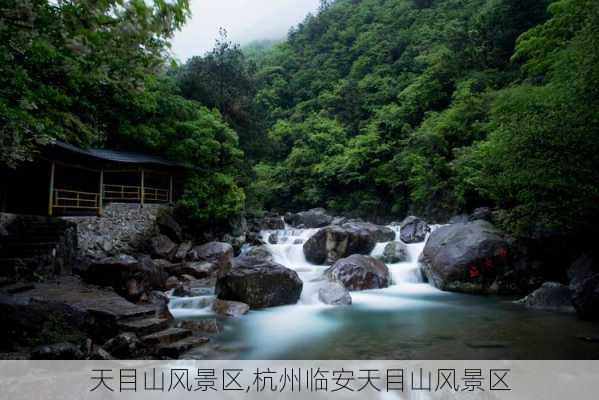 天目山风景区,杭州临安天目山风景区