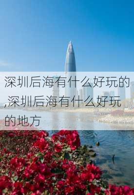 深圳后海有什么好玩的,深圳后海有什么好玩的地方