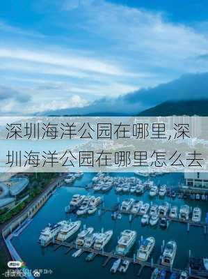 深圳海洋公园在哪里,深圳海洋公园在哪里怎么去