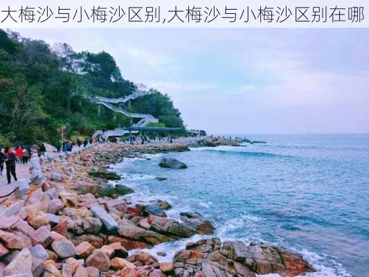 大梅沙与小梅沙区别,大梅沙与小梅沙区别在哪