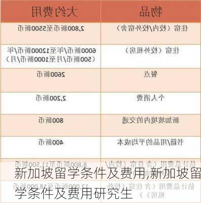 新加坡留学条件及费用,新加坡留学条件及费用研究生