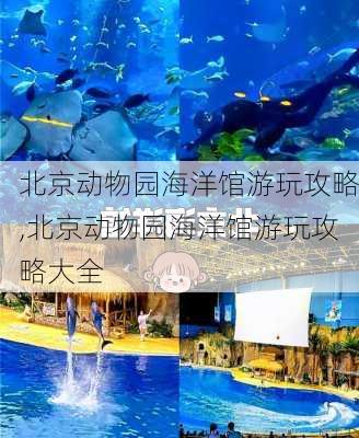 北京动物园海洋馆游玩攻略,北京动物园海洋馆游玩攻略大全