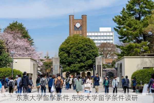 东京大学留学条件,东京大学留学条件读研