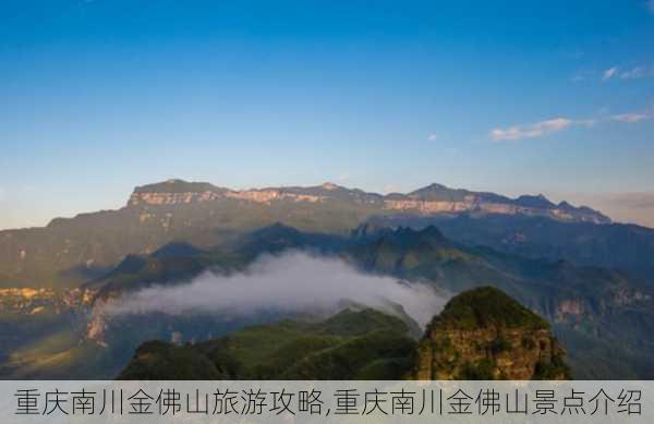 重庆南川金佛山旅游攻略,重庆南川金佛山景点介绍