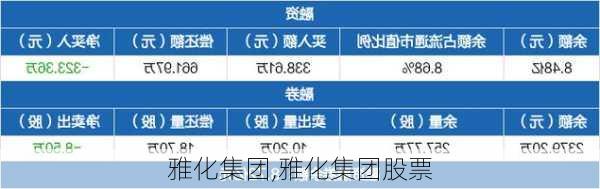 雅化集团,雅化集团股票