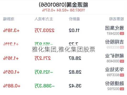 雅化集团,雅化集团股票